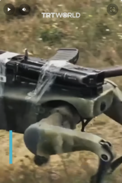 Armed robot dog